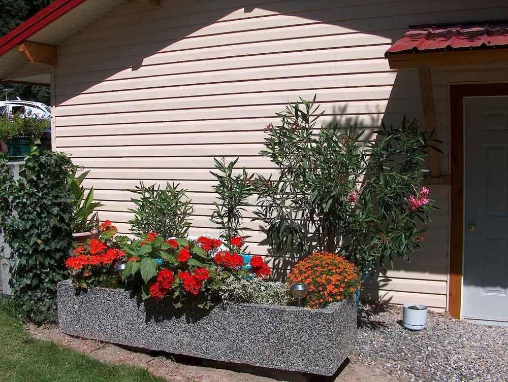 Viewpoint Rv & Cottages Salmon Arm Extérieur photo
